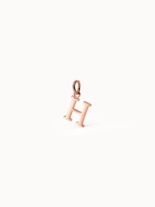 Pure H Charm - Image 4