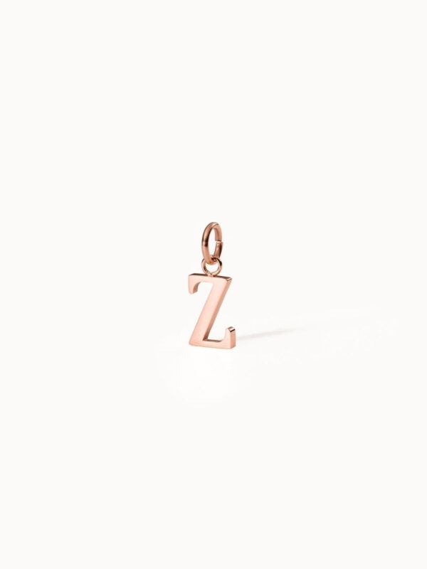 Pure Z Charm - Image 4
